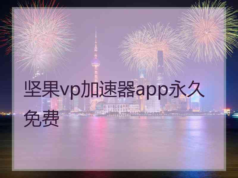 坚果vp加速器app永久免费
