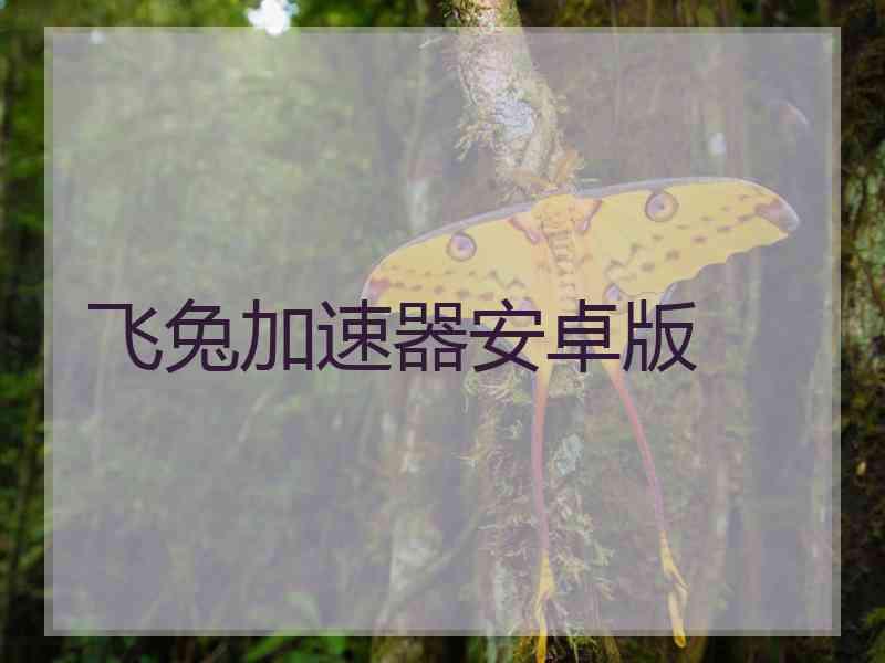 飞兔加速器安卓版