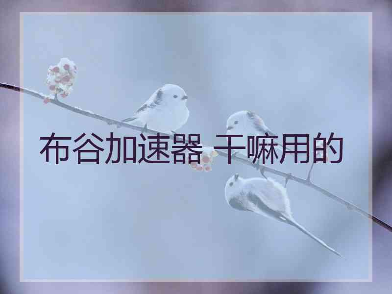 布谷加速器 干嘛用的