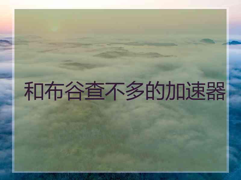 和布谷查不多的加速器