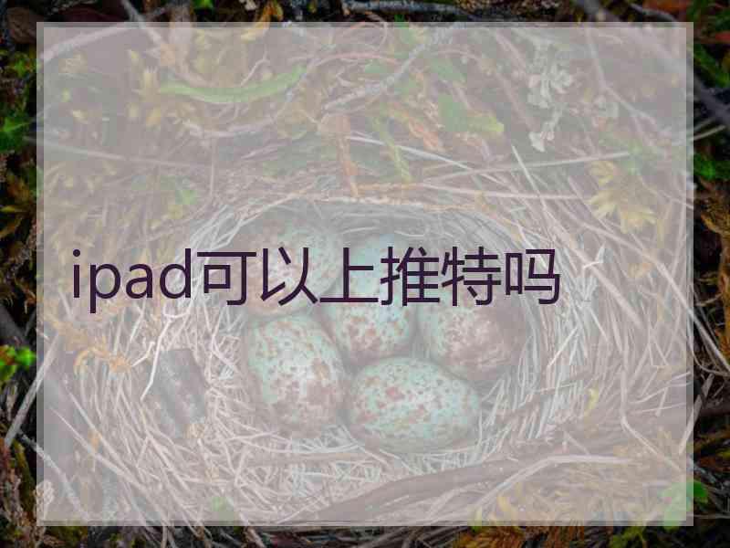ipad可以上推特吗
