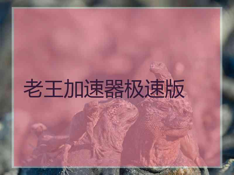 老王加速器极速版