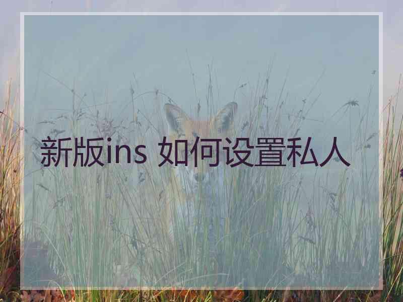 新版ins 如何设置私人