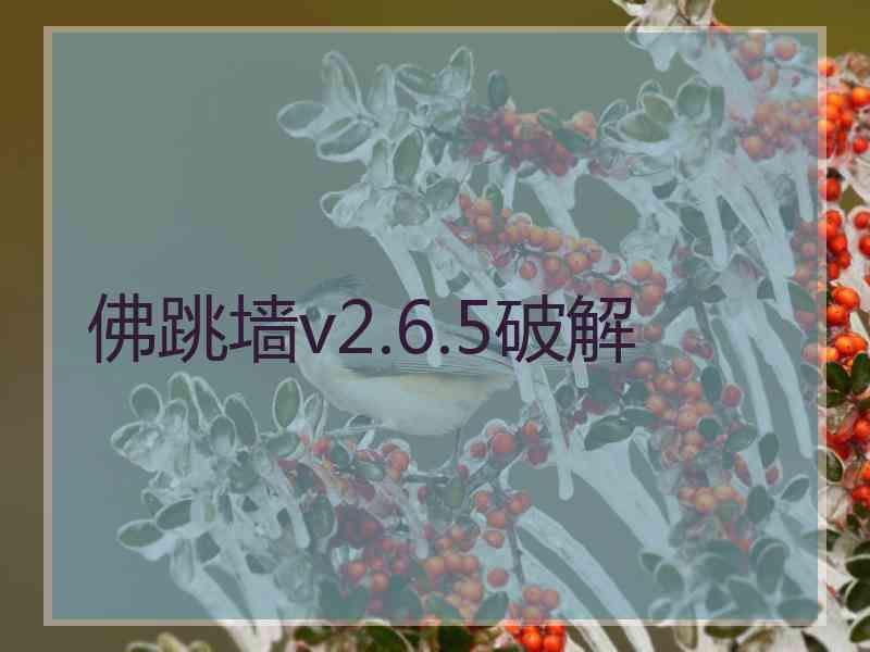 佛跳墙v2.6.5破解