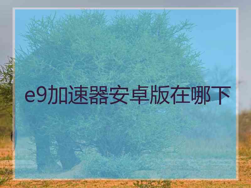 e9加速器安卓版在哪下