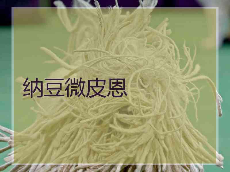 纳豆微皮恩