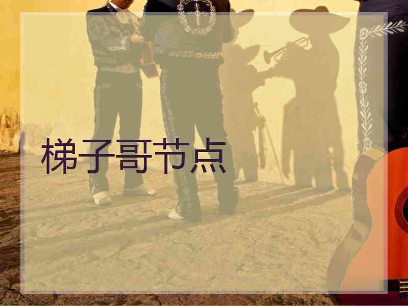 梯子哥节点