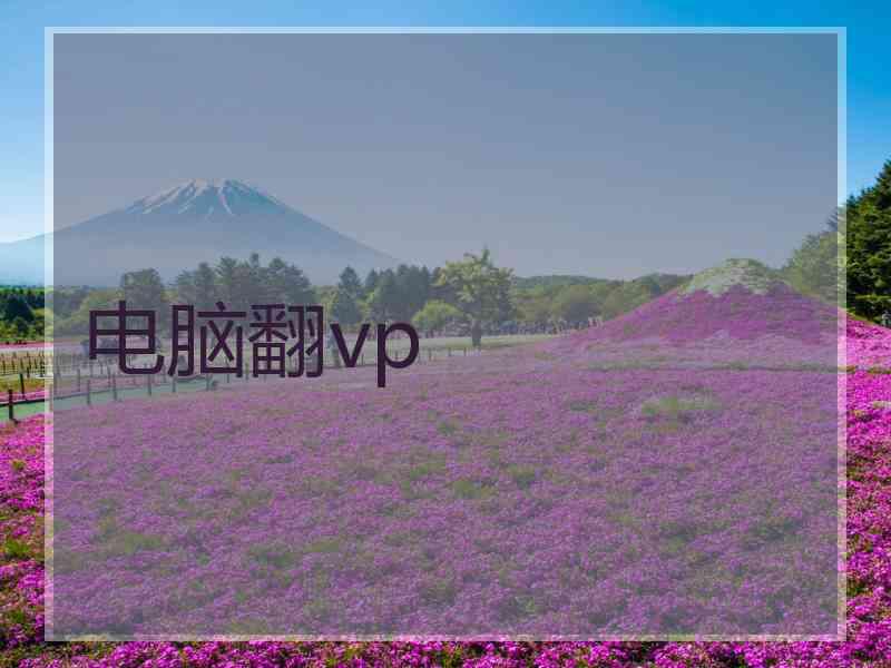 电脑翻vp