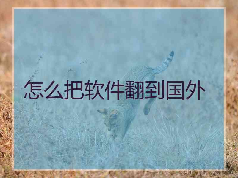 怎么把软件翻到国外