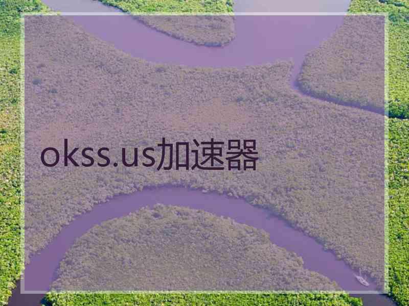 okss.us加速器