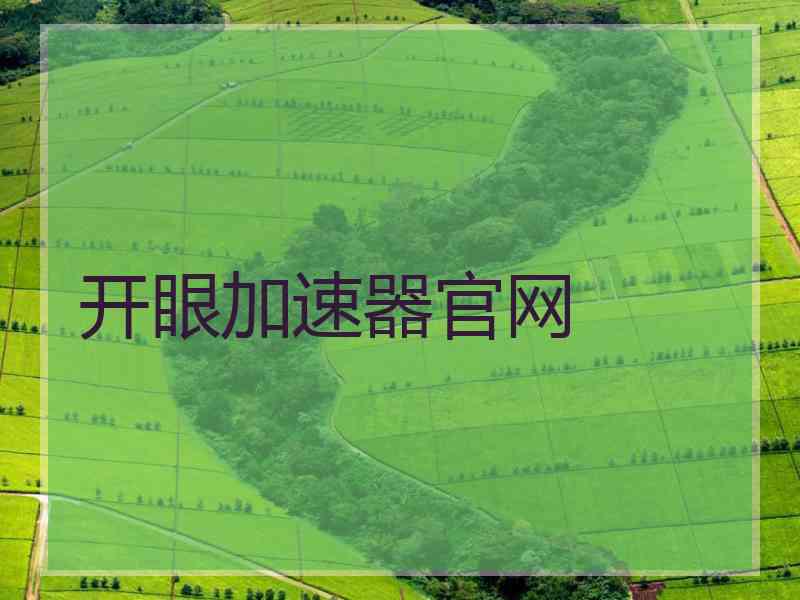 开眼加速器官网