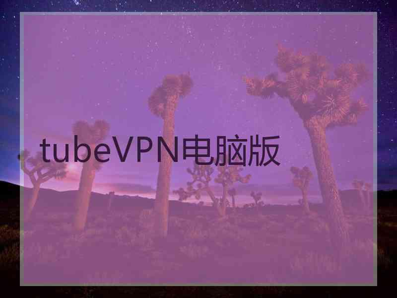 tubeVPN电脑版