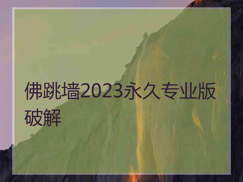 佛跳墙2023永久专业版破解