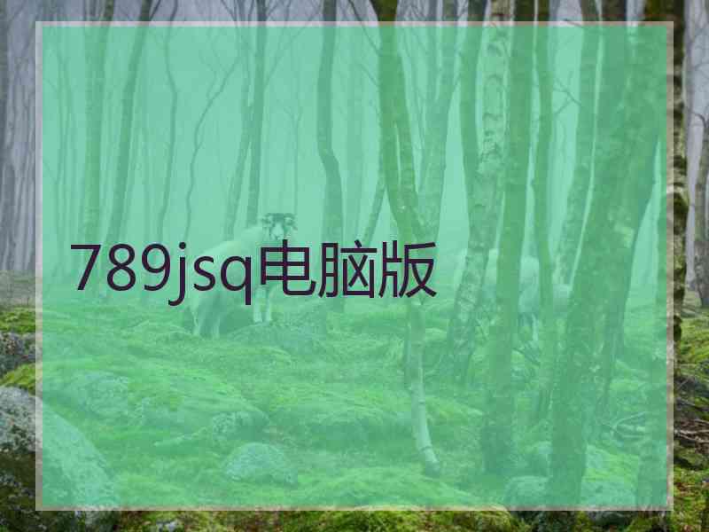 789jsq电脑版