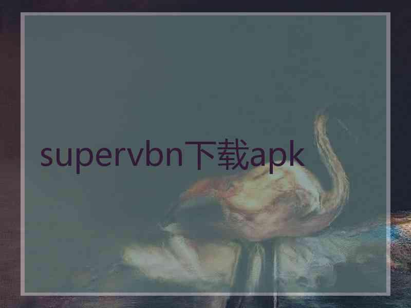 supervbn下载apk
