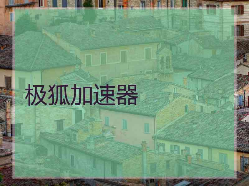 极狐加速器