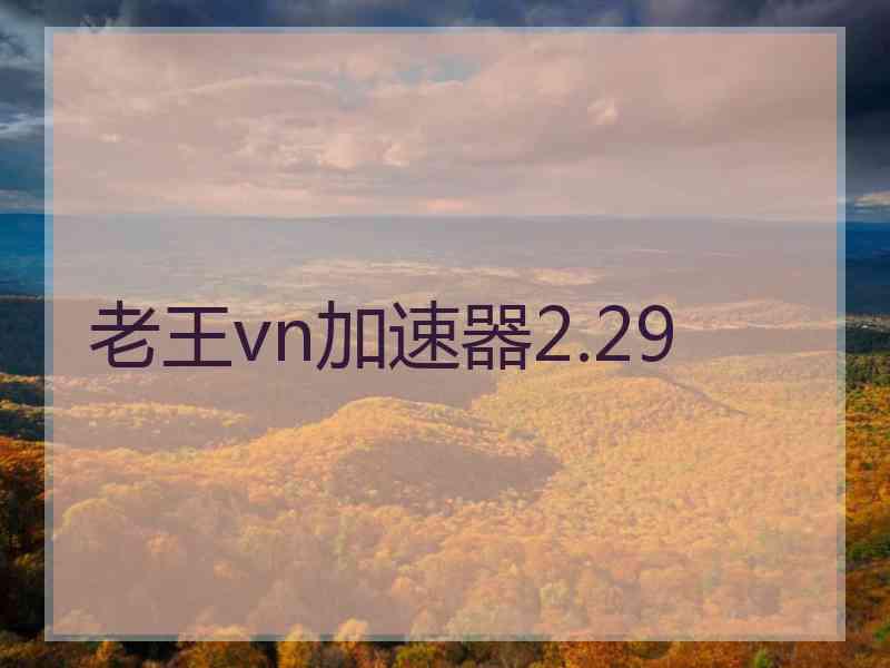 老王vn加速器2.29
