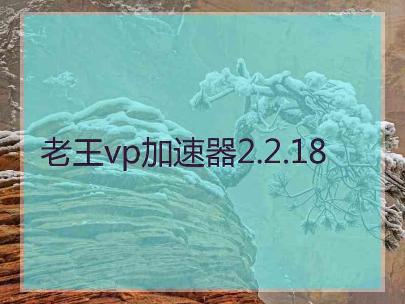 老王vp加速器2.2.18