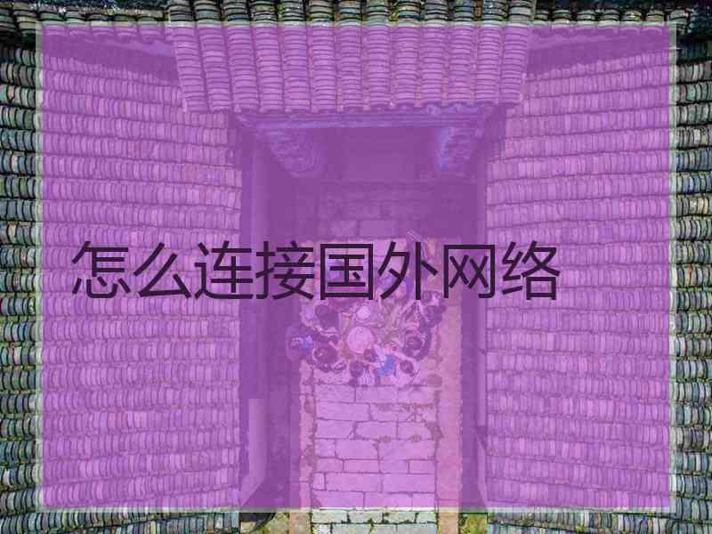 怎么连接国外网络