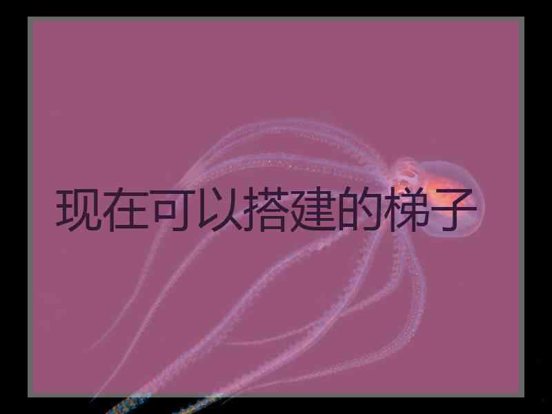 现在可以搭建的梯子