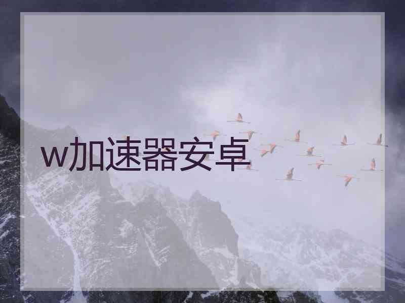 w加速器安卓
