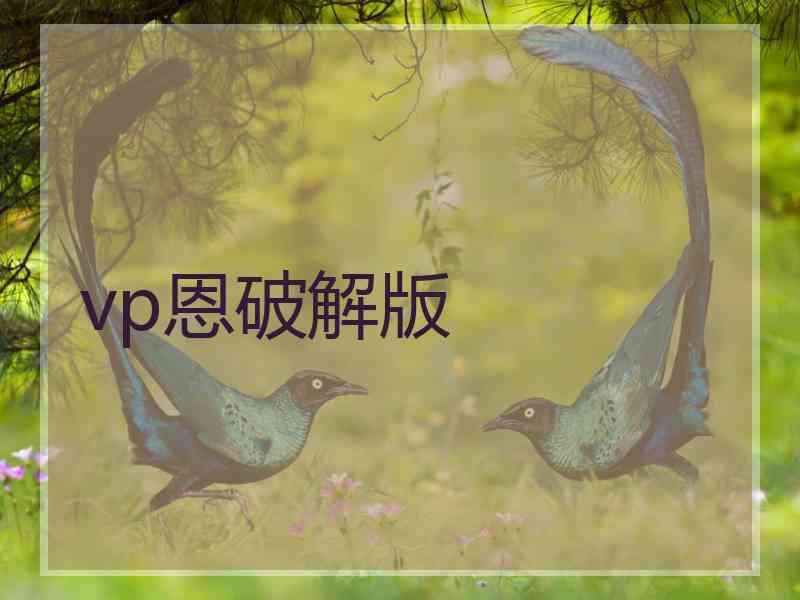 vp恩破解版