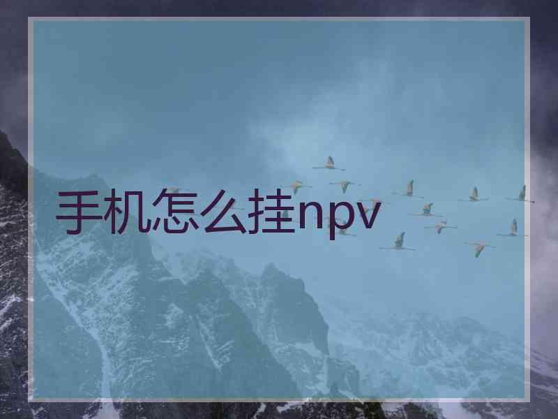 手机怎么挂npv