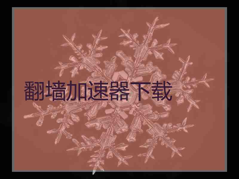 翻墙加速器下载