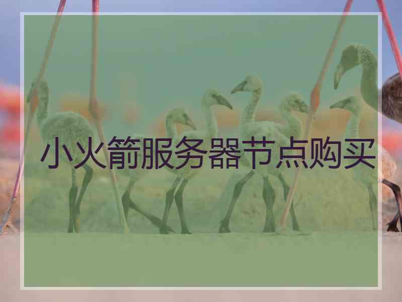 小火箭服务器节点购买