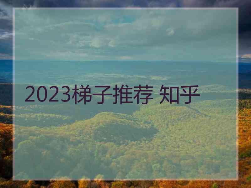2023梯子推荐 知乎