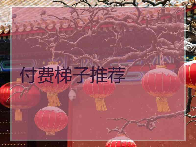 付费梯子推荐