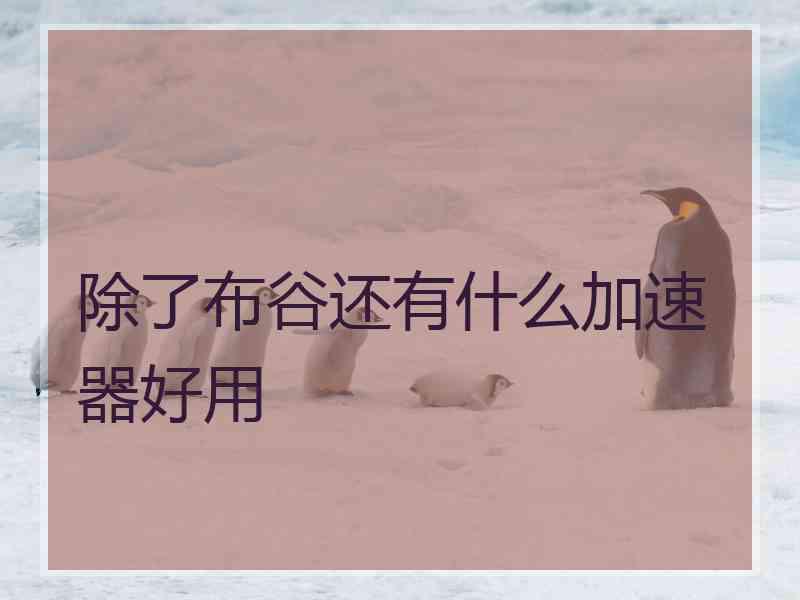 除了布谷还有什么加速器好用