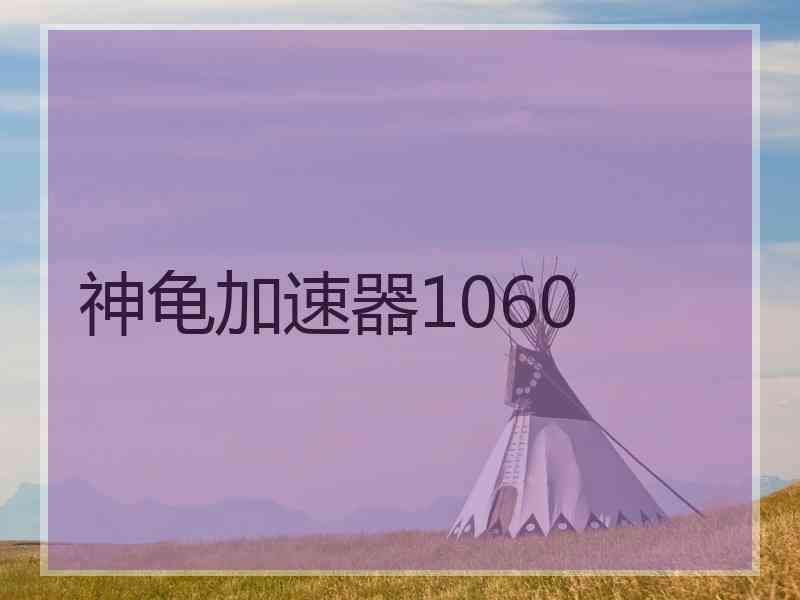 神龟加速器1060