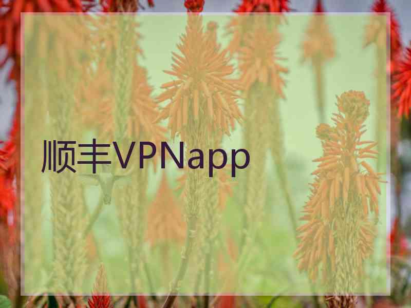 顺丰VPNapp