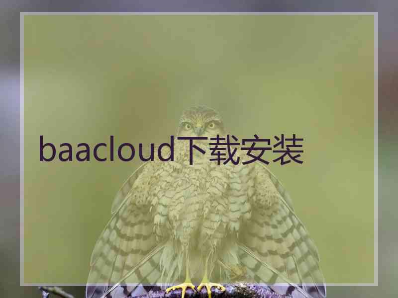 baacloud下载安装