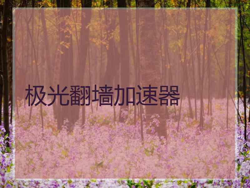 极光翻墙加速器