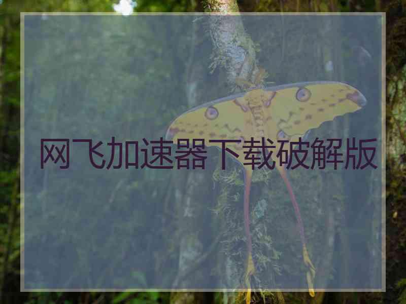 网飞加速器下载破解版