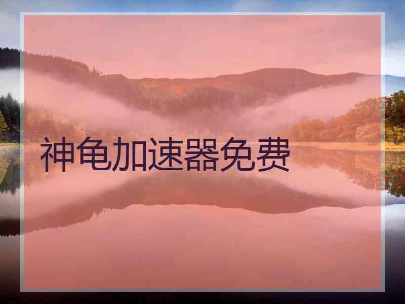 神龟加速器免费