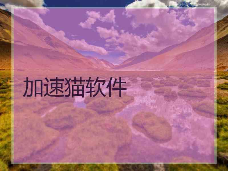 加速猫软件