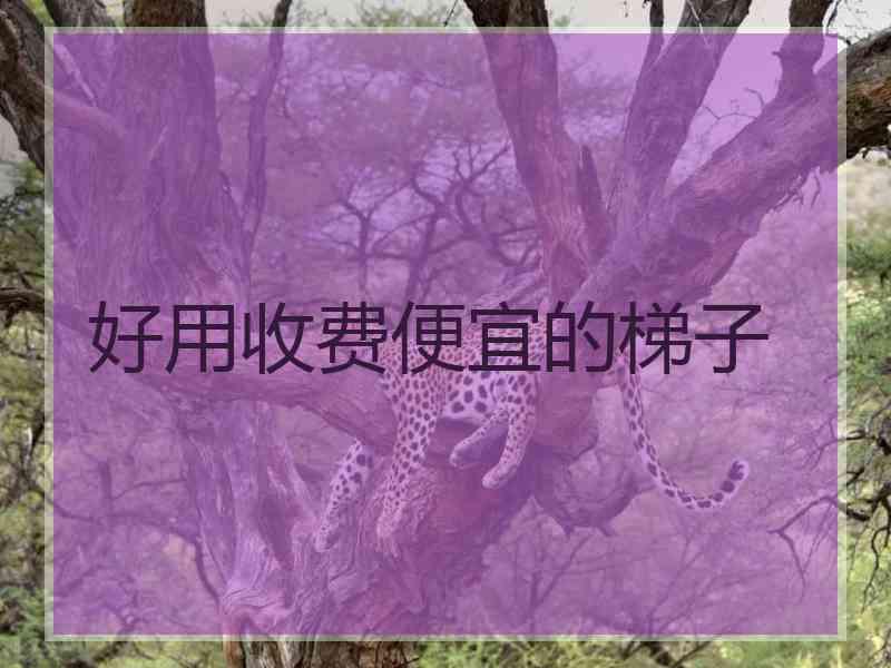 好用收费便宜的梯子