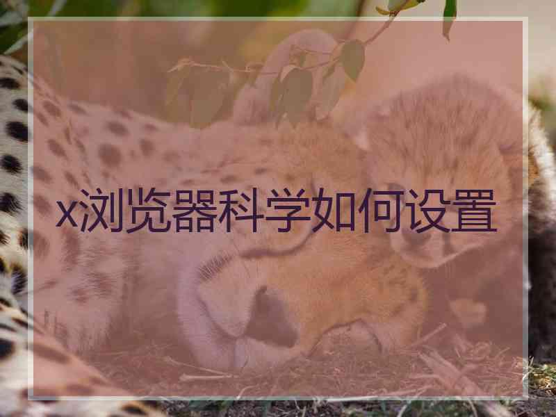 x浏览器科学如何设置