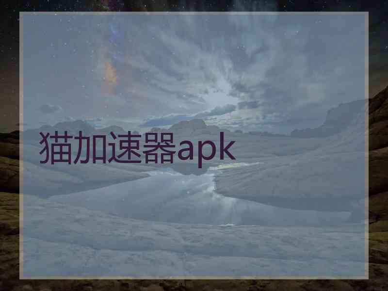 猫加速器apk
