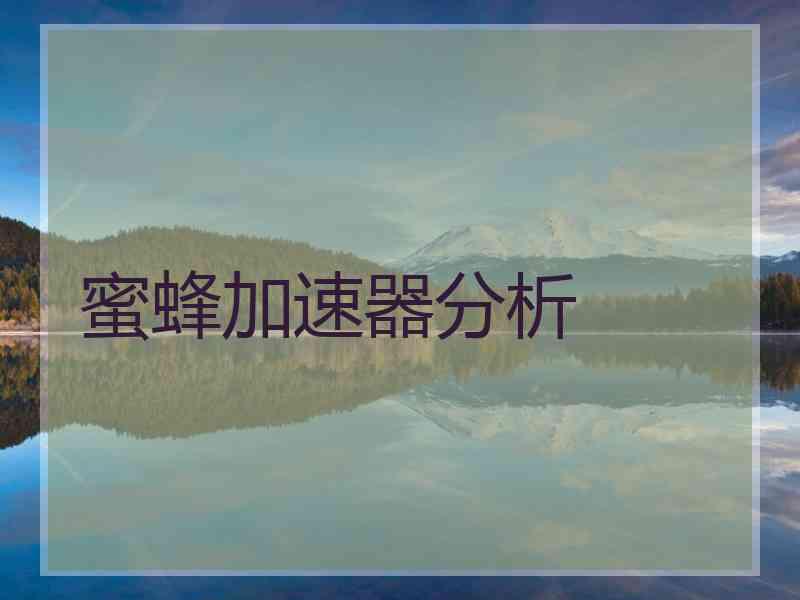 蜜蜂加速器分析