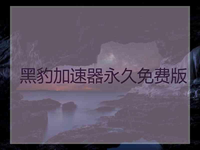 黑豹加速器永久免费版