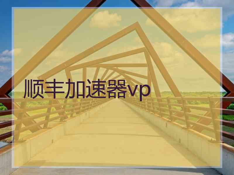 顺丰加速器vp