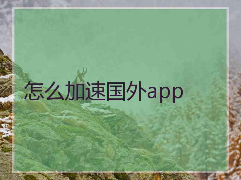 怎么加速国外app