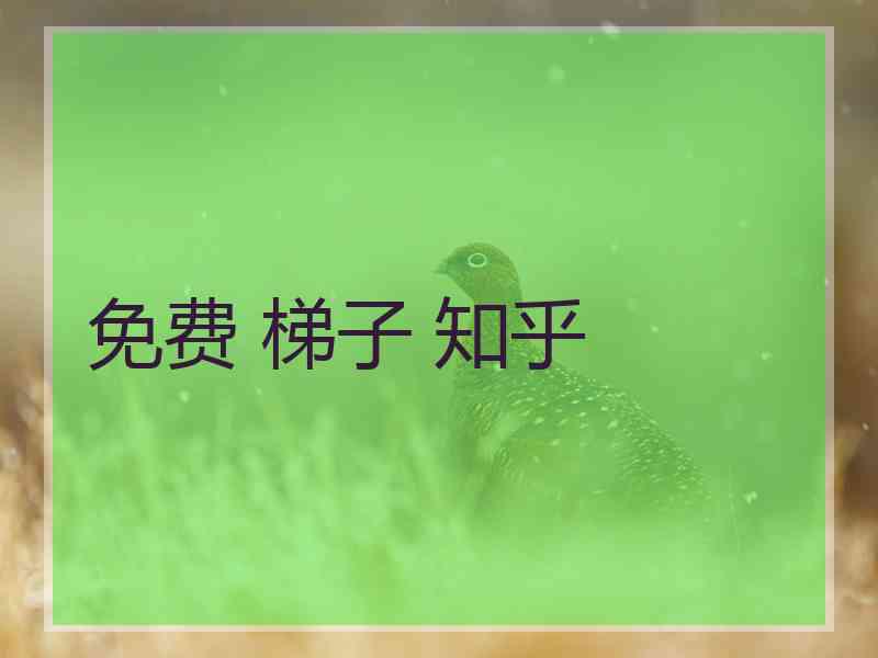 免费 梯子 知乎
