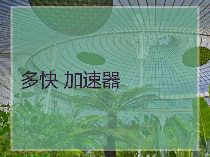 多快 加速器