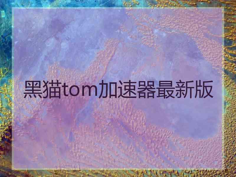 黑猫tom加速器最新版