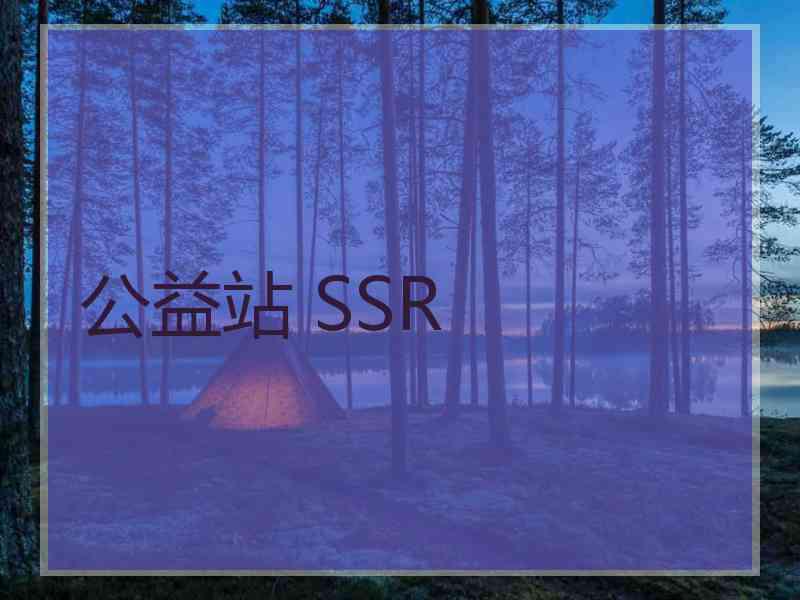 公益站 SSR